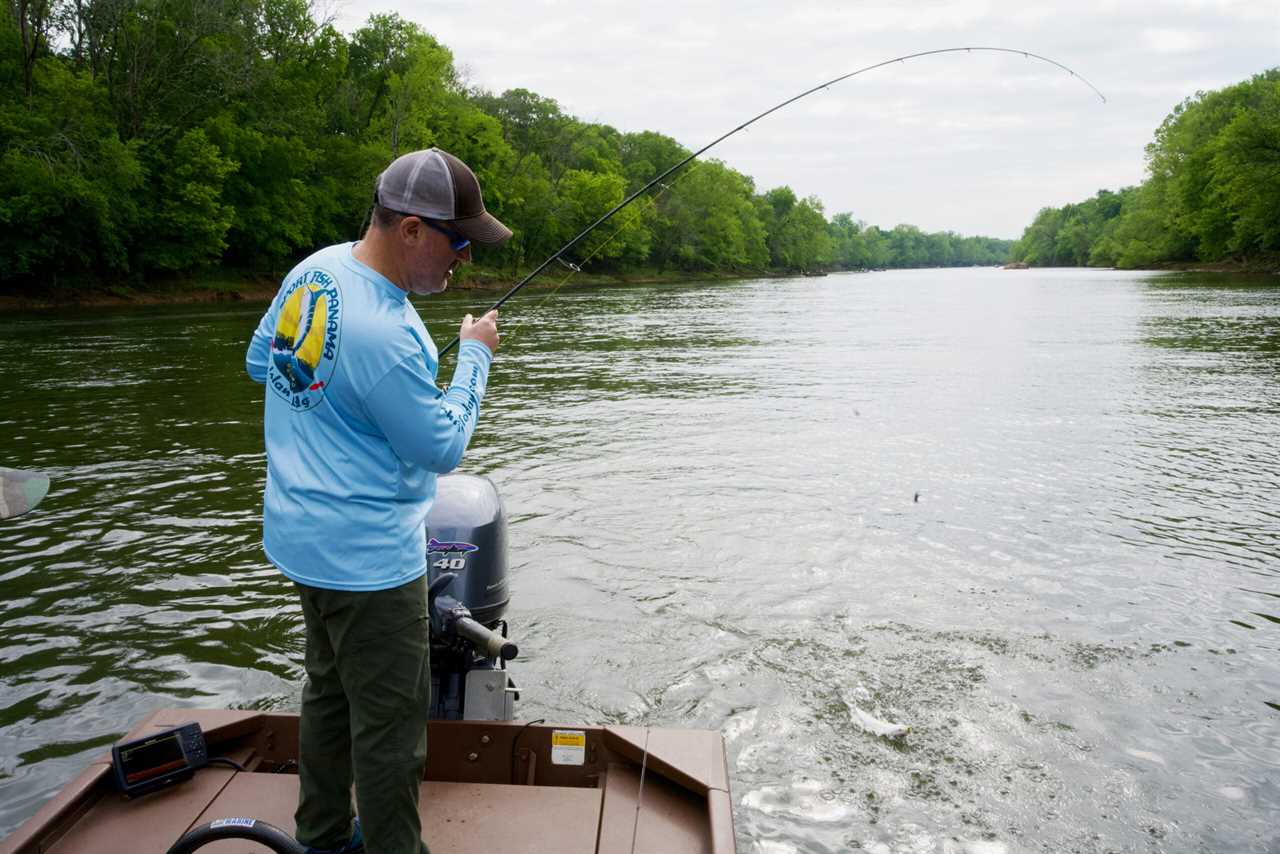 Landing a fish with one of the best spinning rods