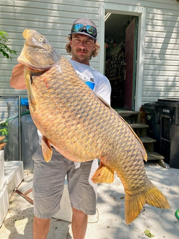 MD record carp 2