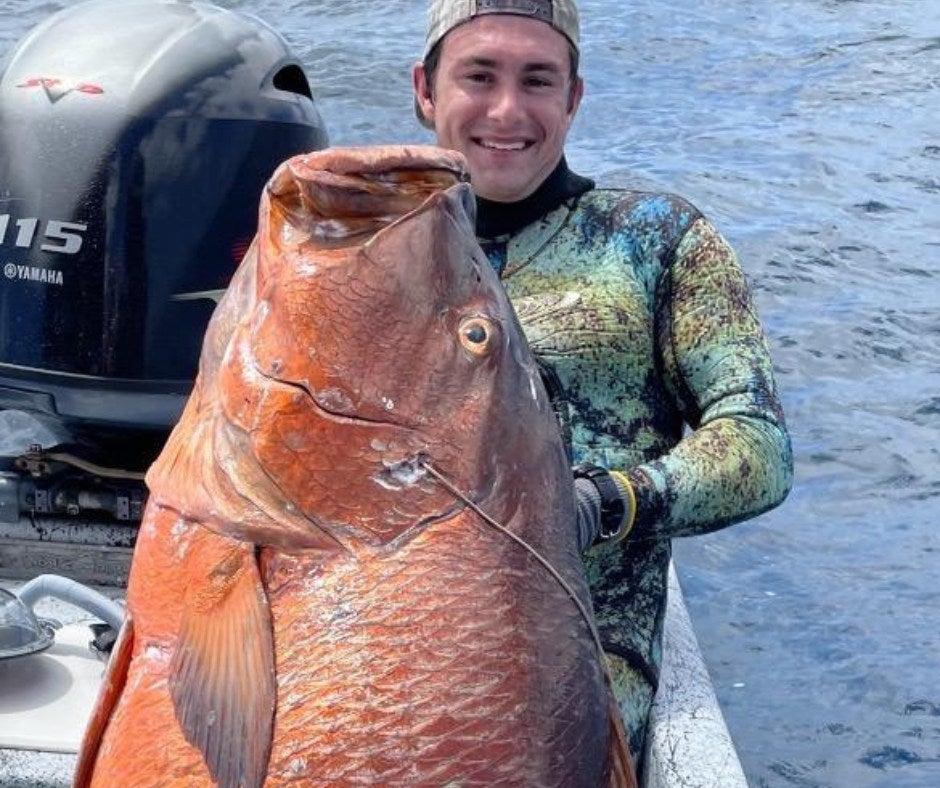 World record cubera snapper