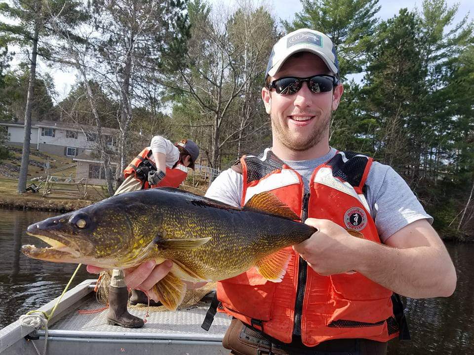 Alex Latzka WDNR walleye