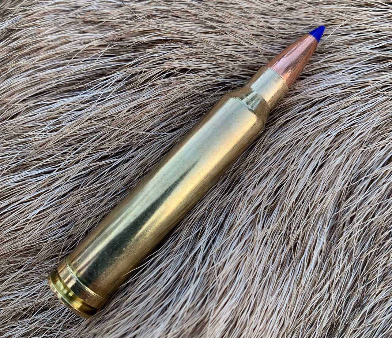 .300 Win. Mag. with Barnes TTSX bullet