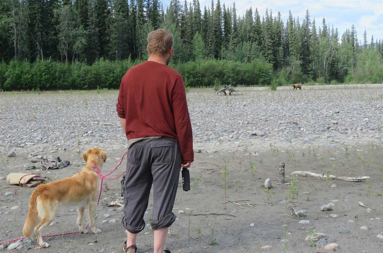 The Yukon river