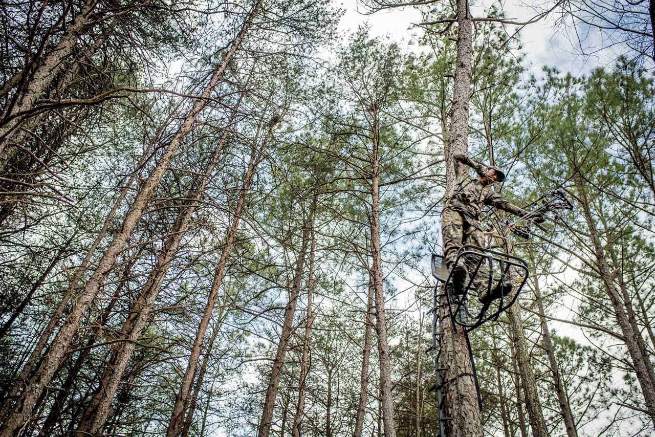 treestand