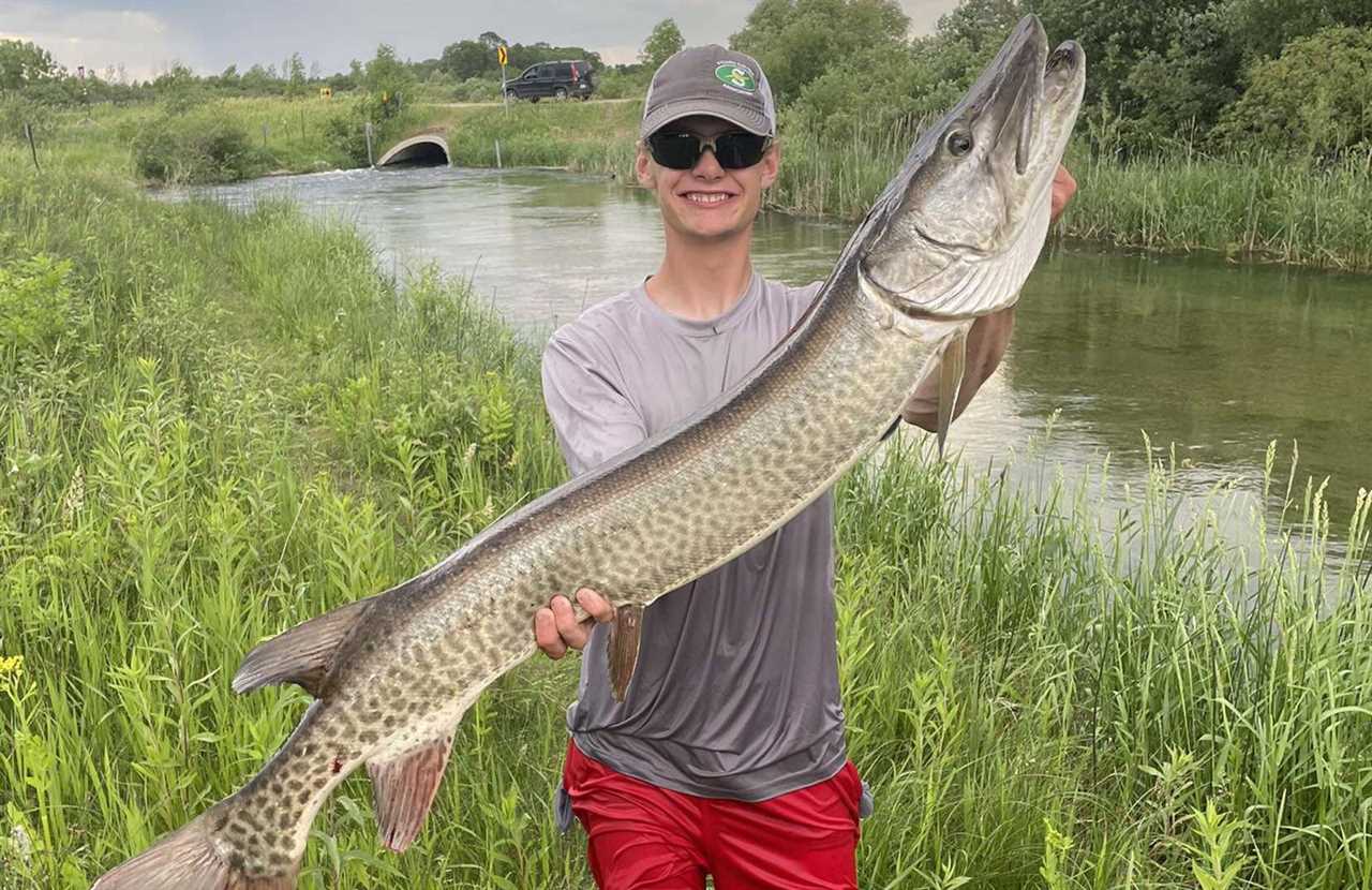 Minnesota kid catches muskie