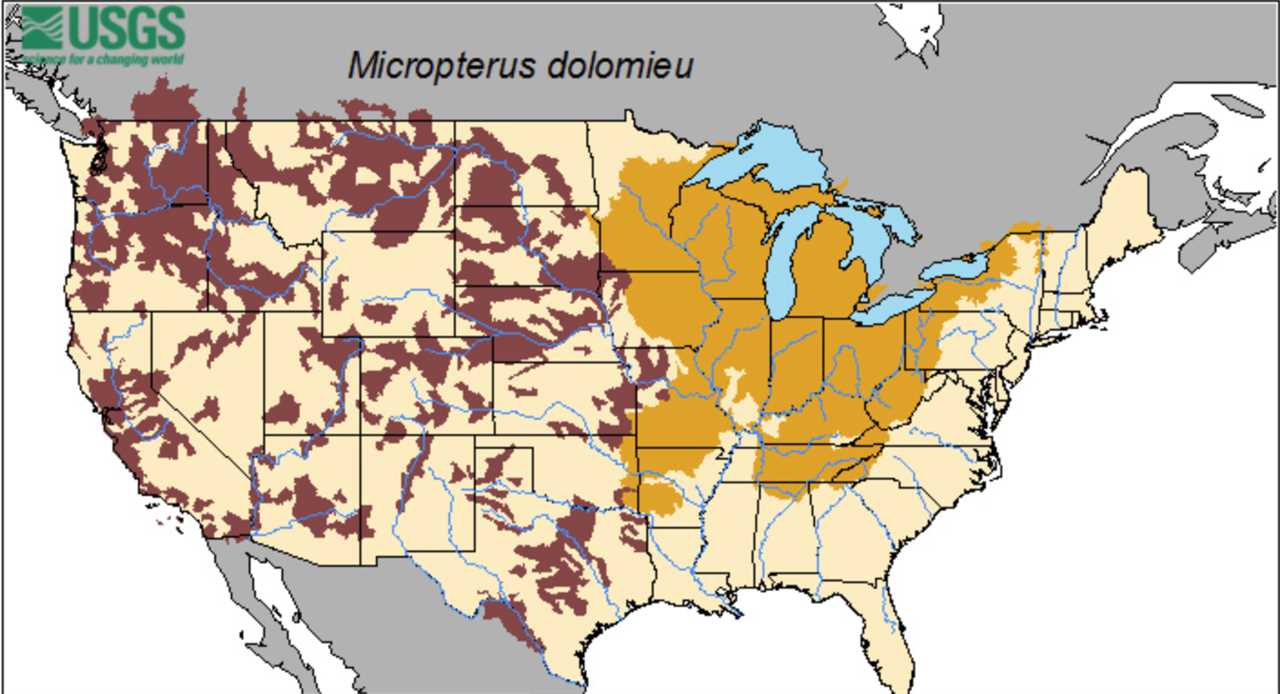 Smallmouth native range.