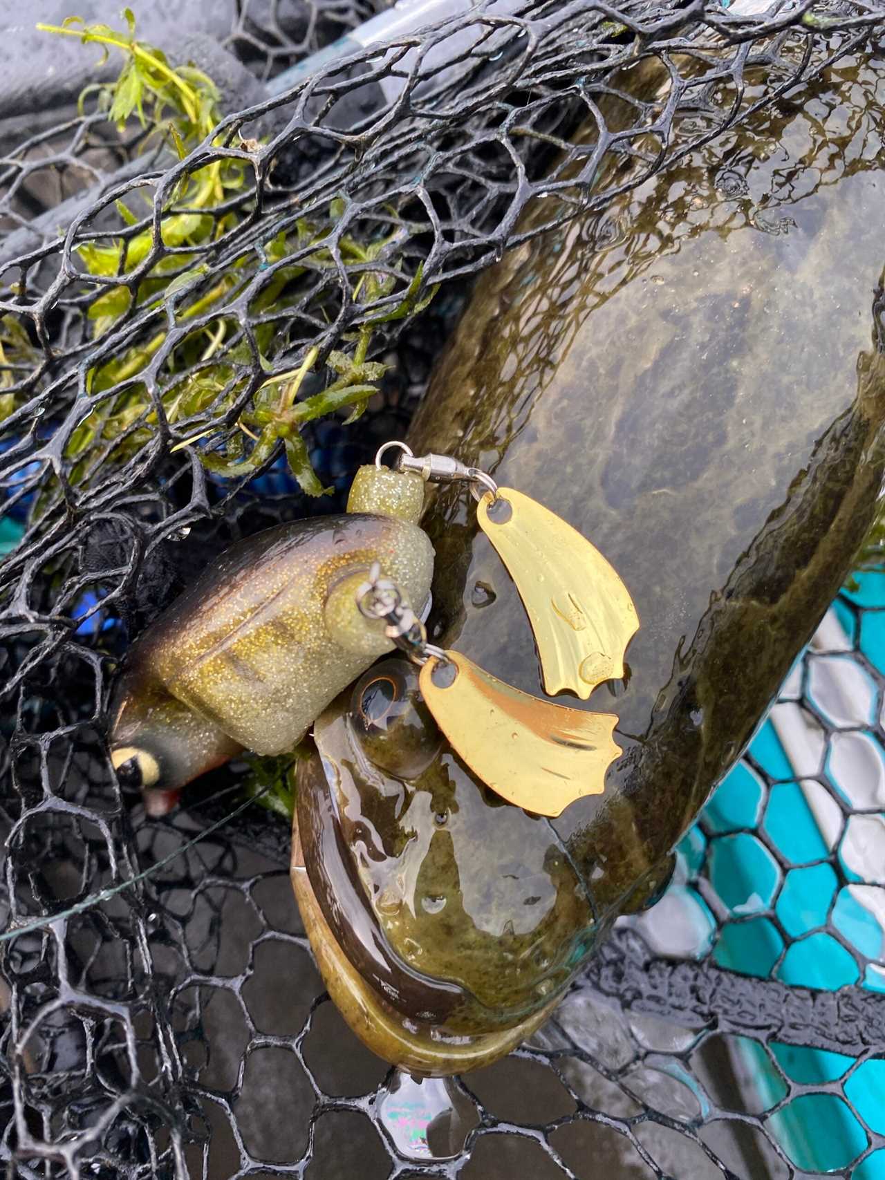 Once you learn how to catch snakeheads you have to get the right gear