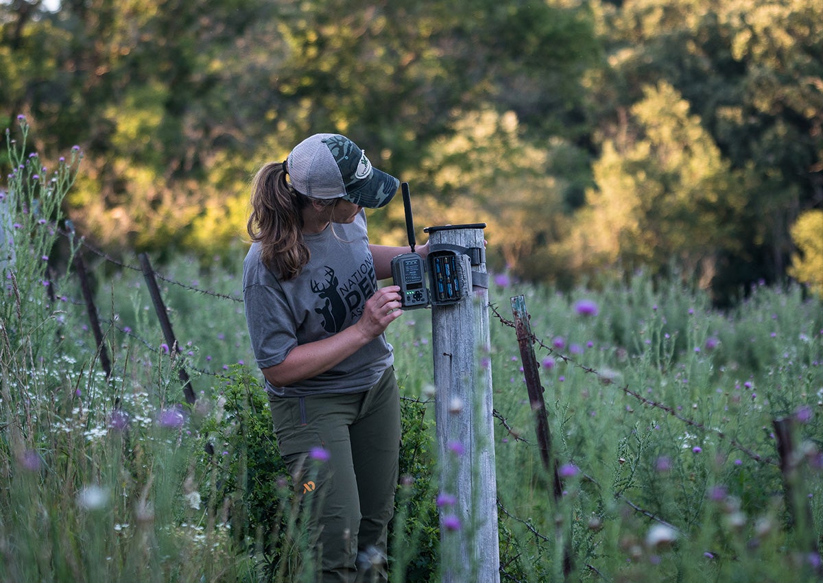 The Stealth Cam DS4K is one of the best cellular trail cameras.