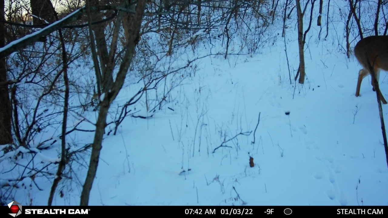 Stealth Cam DS4K trigger speed