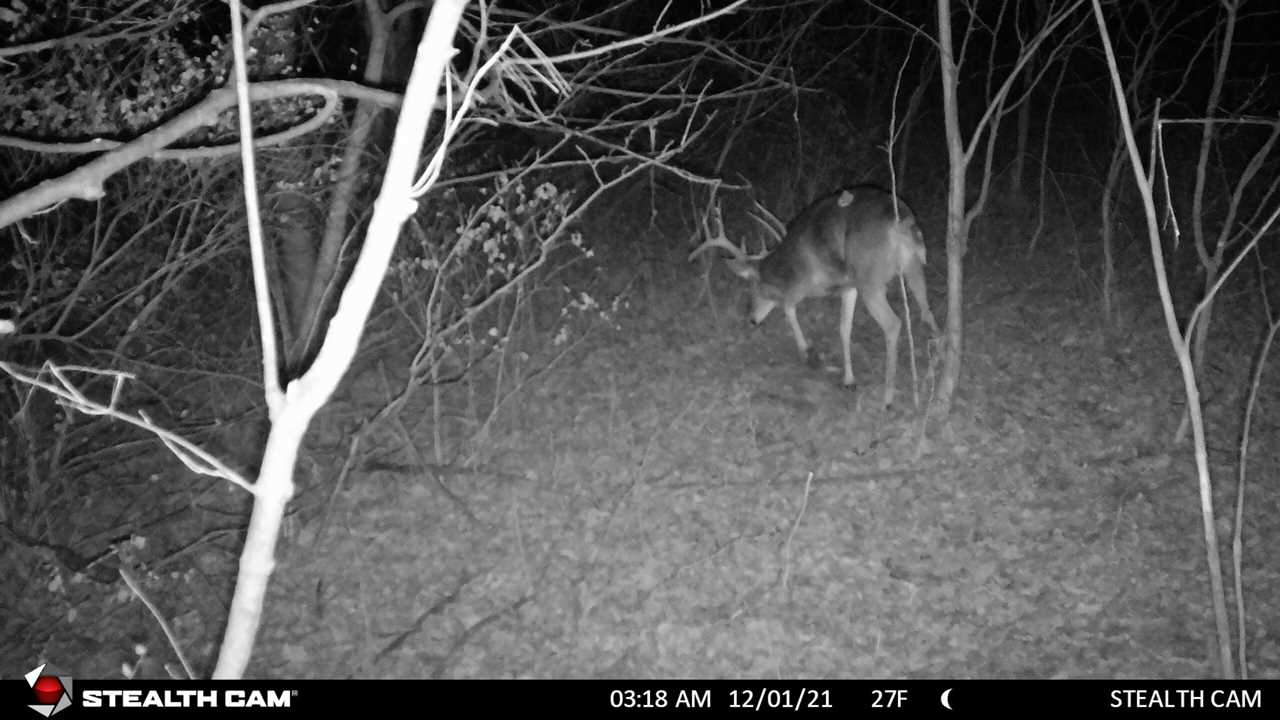 Stealth Cam DS4K flash range