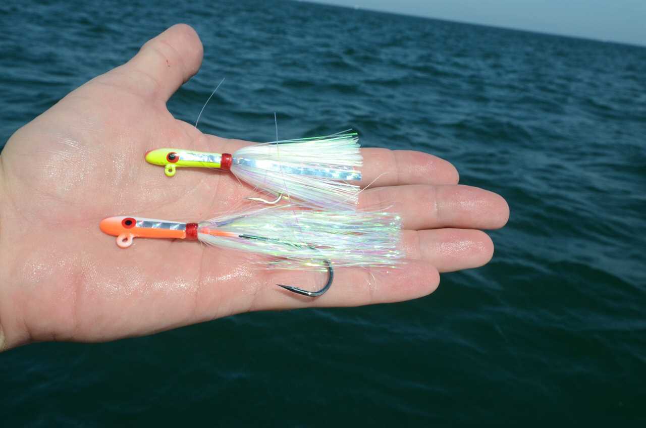 Glass Minnow 2