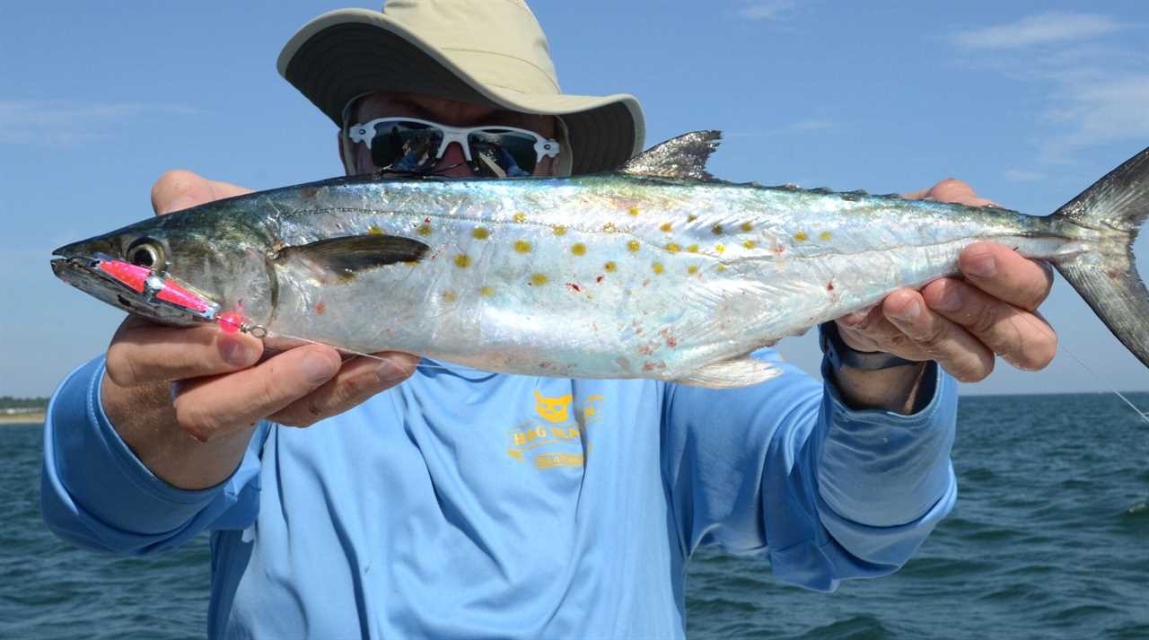 The Best Lures for Spanish Mackerel of 2022