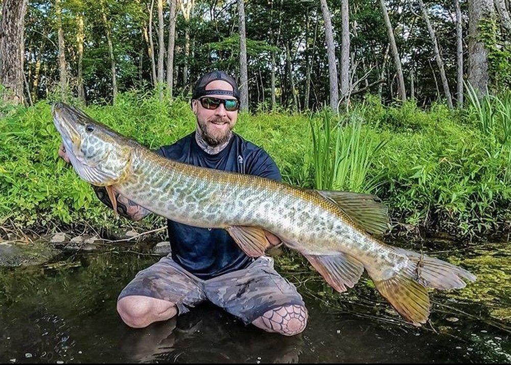 tiger muskie CT