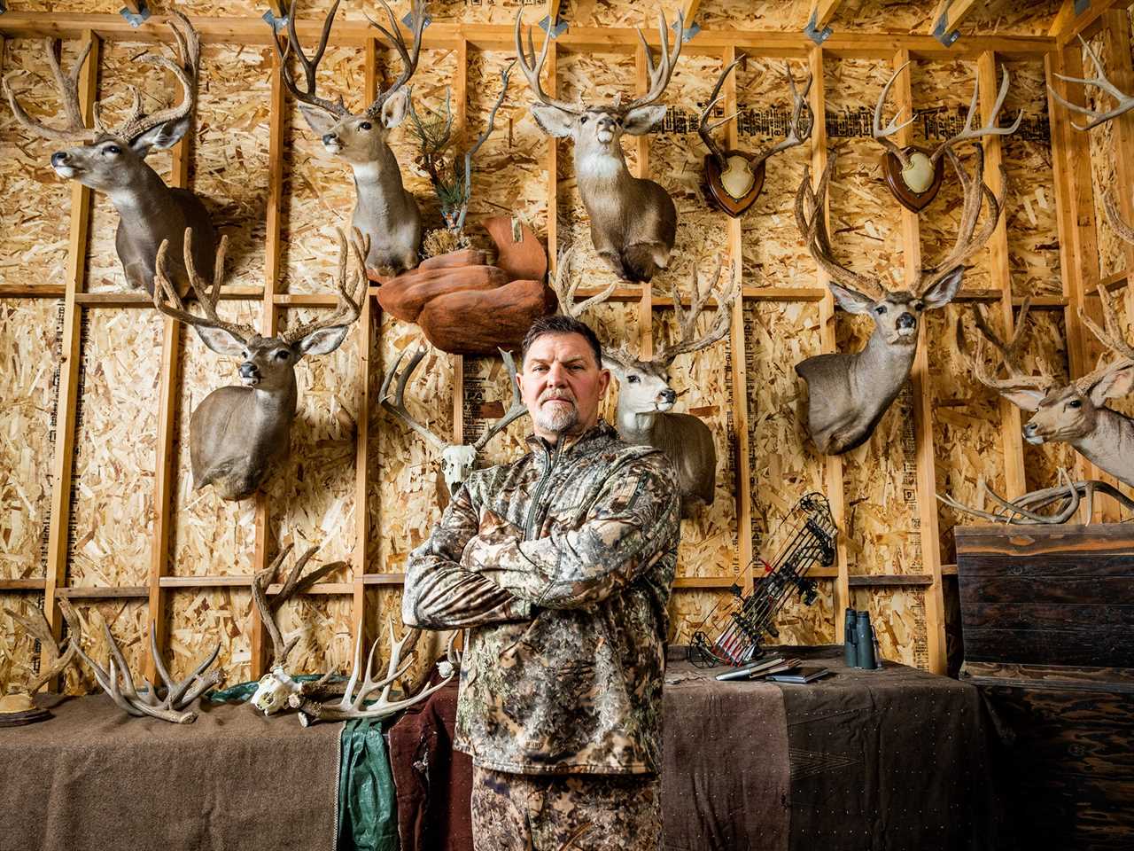 trophy room wall with mule deer heads