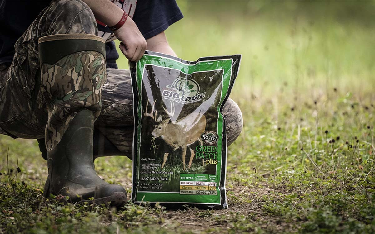 The best food plots for deer