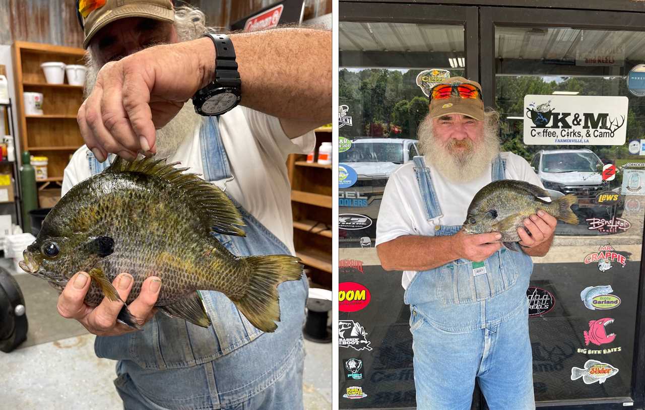 The Lousiana state-record bluegill.