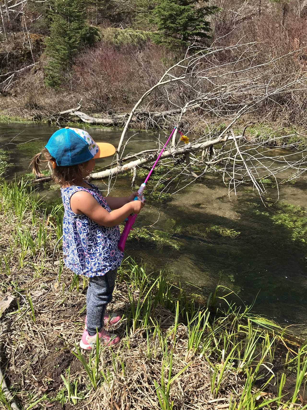 The best kids fishing poles help new anglers get started.