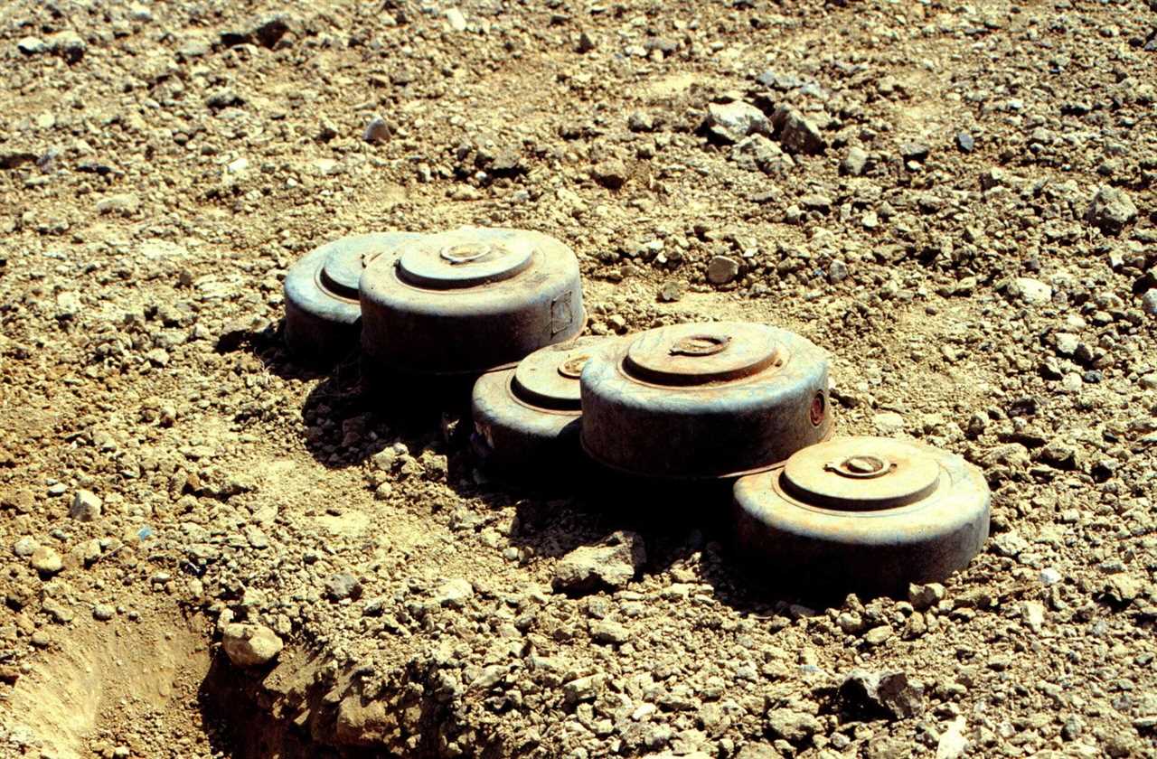 Two magnet fishermen found a M15 landmine in the Flint River.