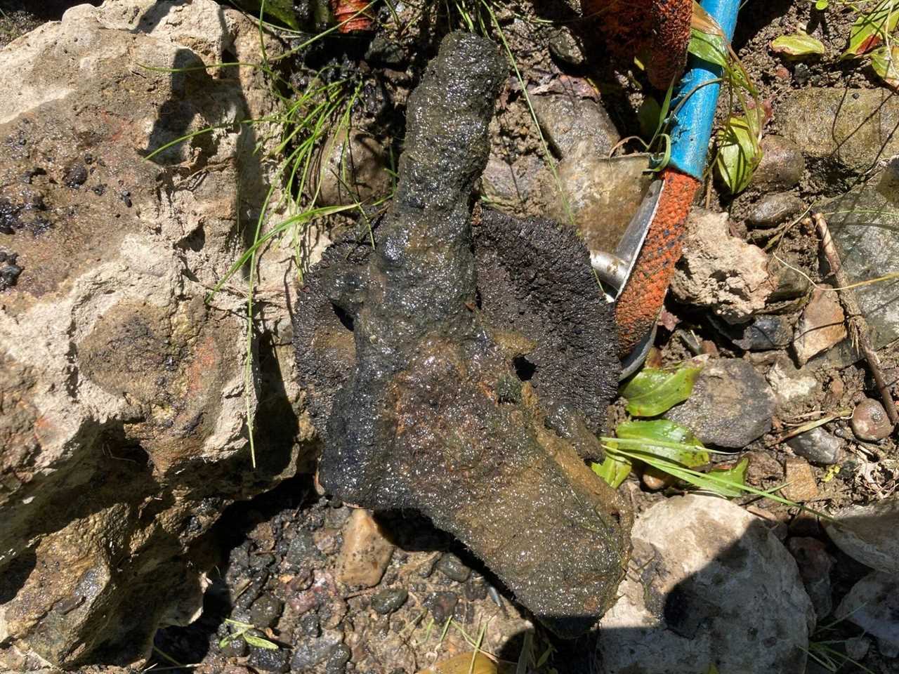 Magnet fishers pull guns out of rivers all the time, but two fishers in Lapeer, Michigan just found a landmine.