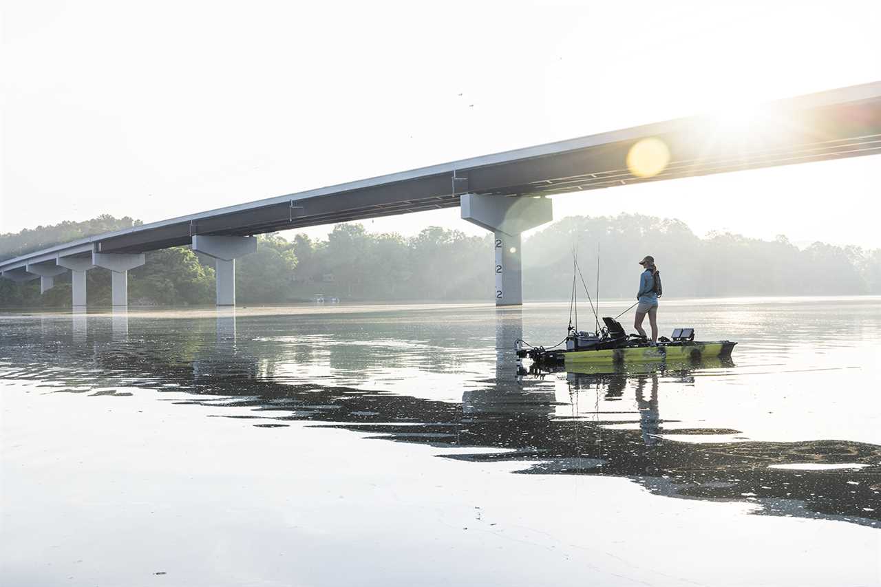 Fischer under bridge at sunset