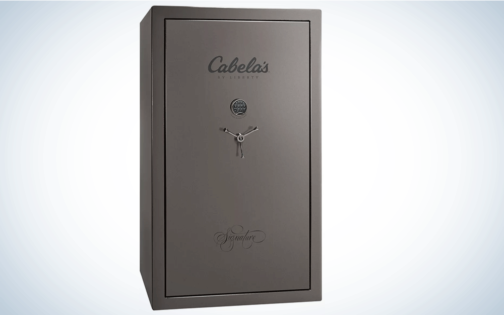 Cabela's E-Lock 25 is the best gun safe.