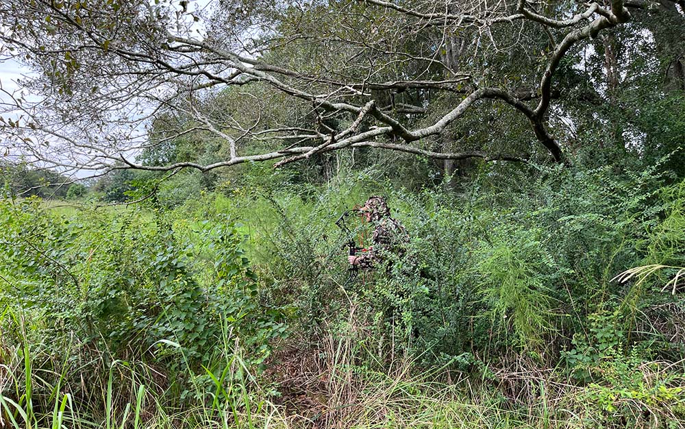 The North Mountain Leafy Jacket in a field edge.