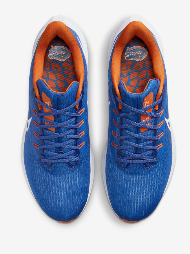 Nike releases Special Edition Florida Gators Air Zoom Pegasus 39, here's how to buy