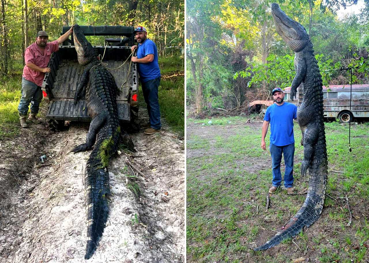 TX man first gator