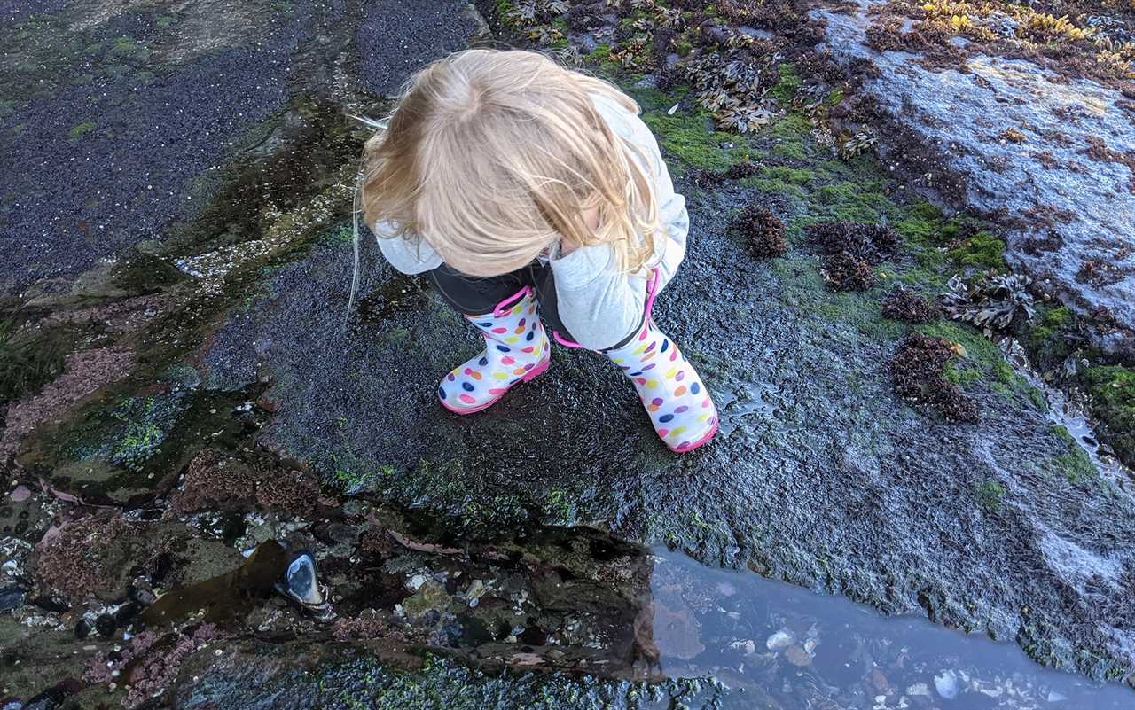 Kid exploring tide pools in rainboots.