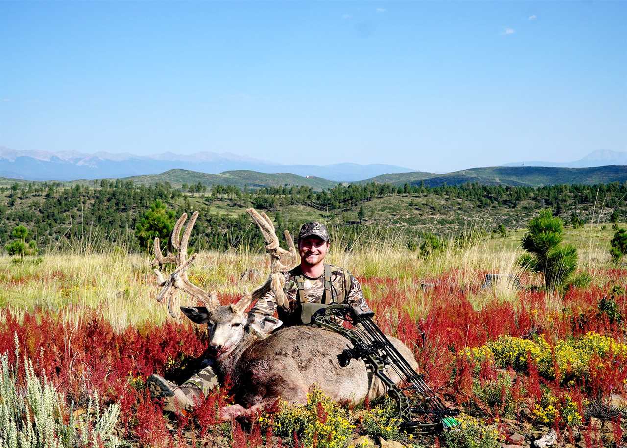 vermejo park muley buck 2