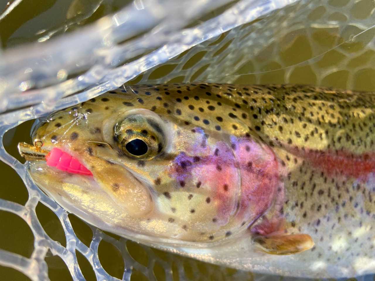 Trout magnets make great lures for small streams.