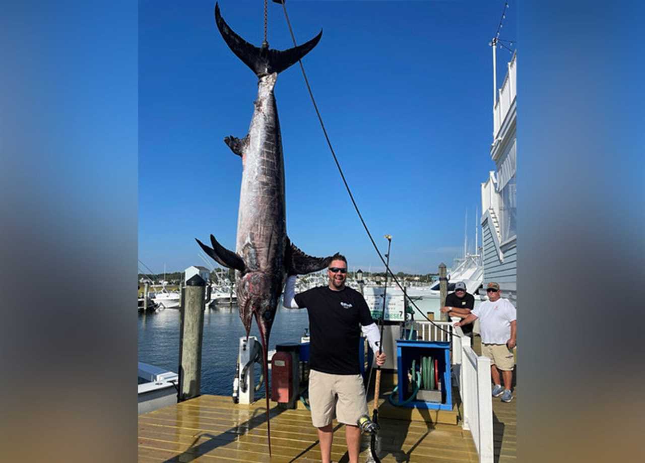 Maryland swordfish record