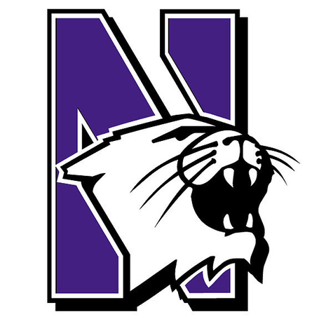 Logo-northwestern-wildcats-575x575.s600x600_medium