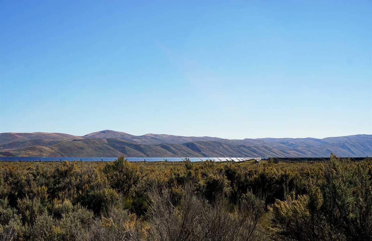 Solar panels in sage brush habitat.