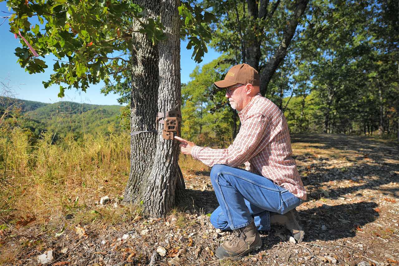 hanging a trail camera