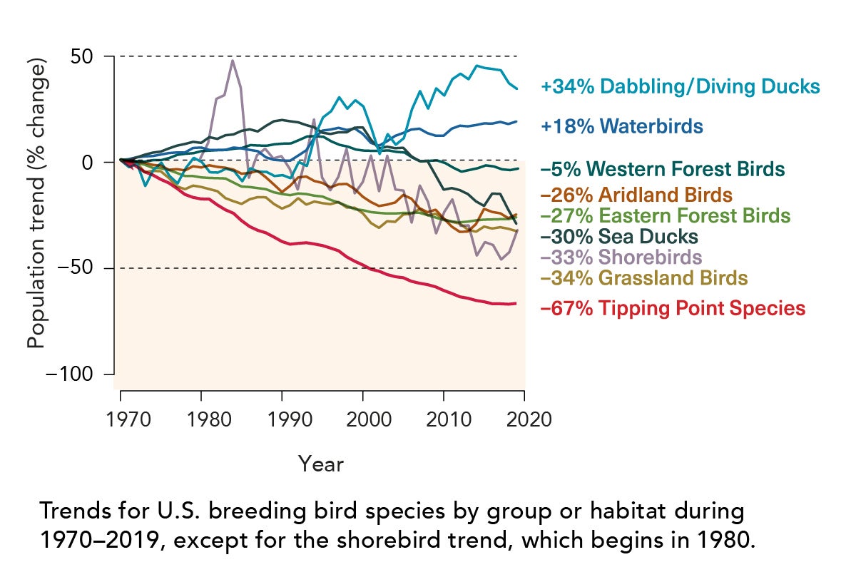 2022 state of the birds graph