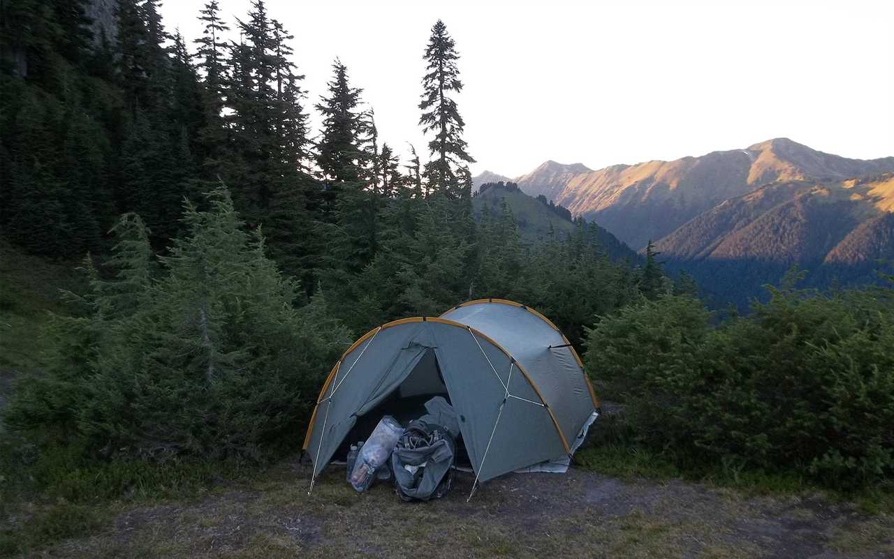 A tent is set up surrounded by brush.