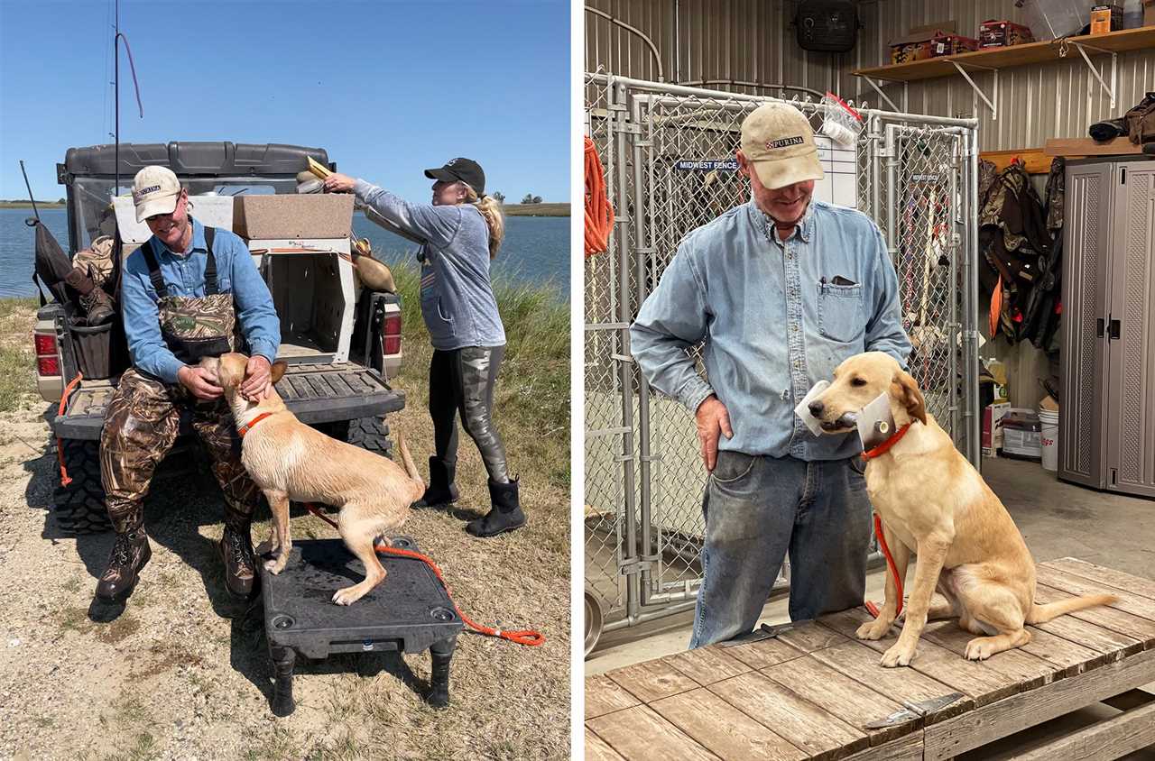 Tom dokken training a yellow Lab.