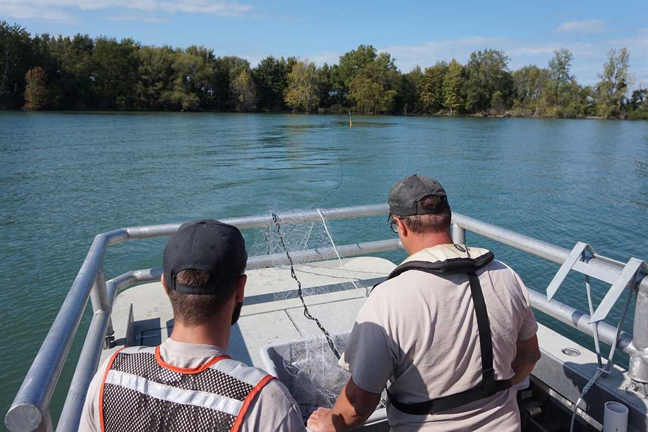 The Insane Cult of the Lake Erie Walleye