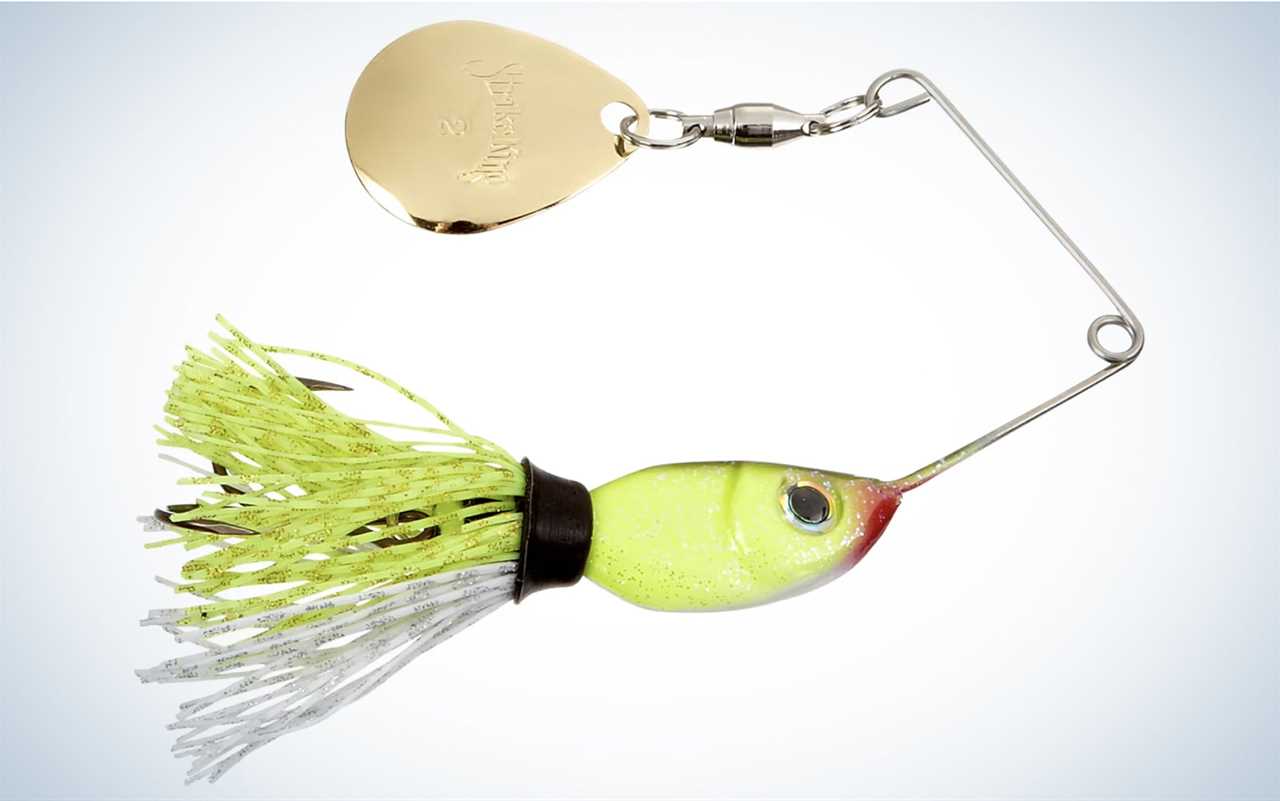 The strike king rocket shad is one of the best trout fishing baits.