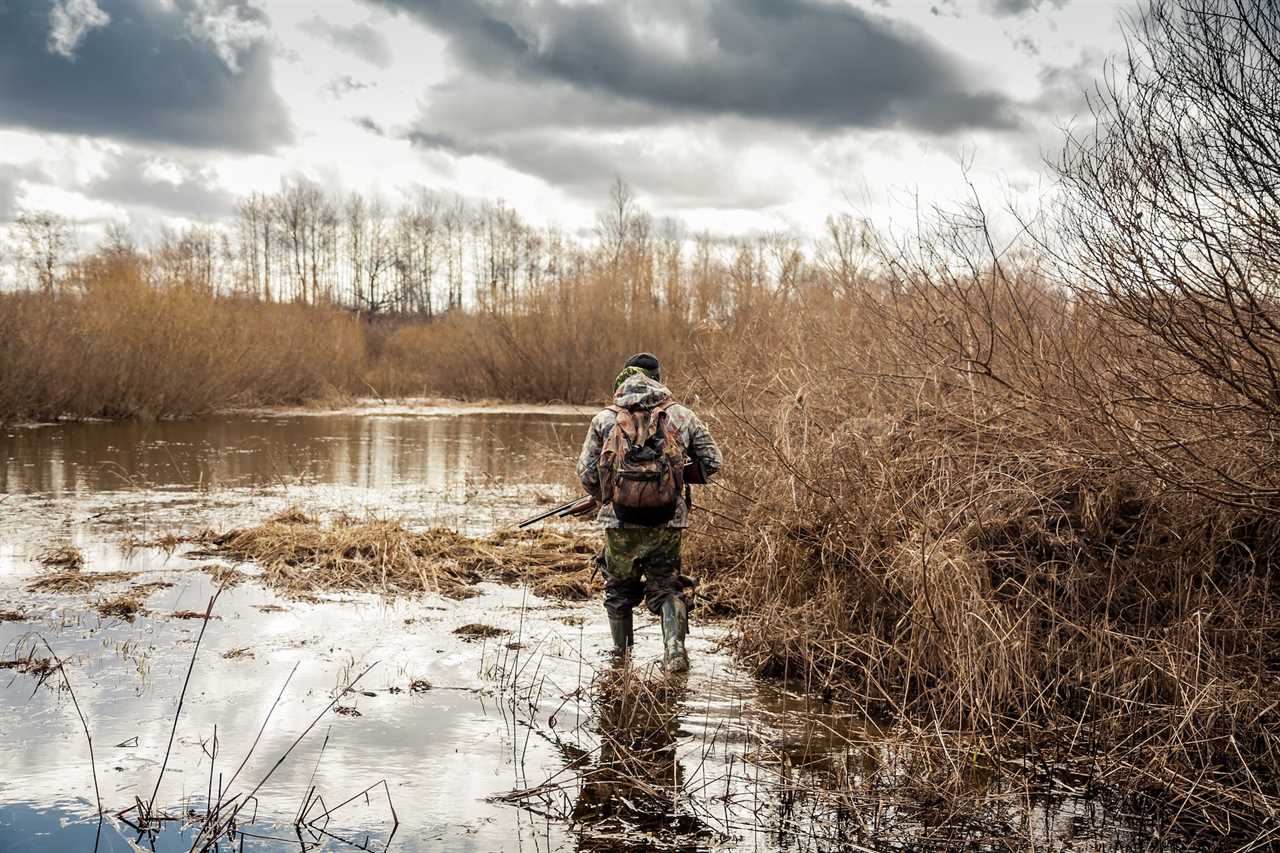 duck hunter walks into private land marsh