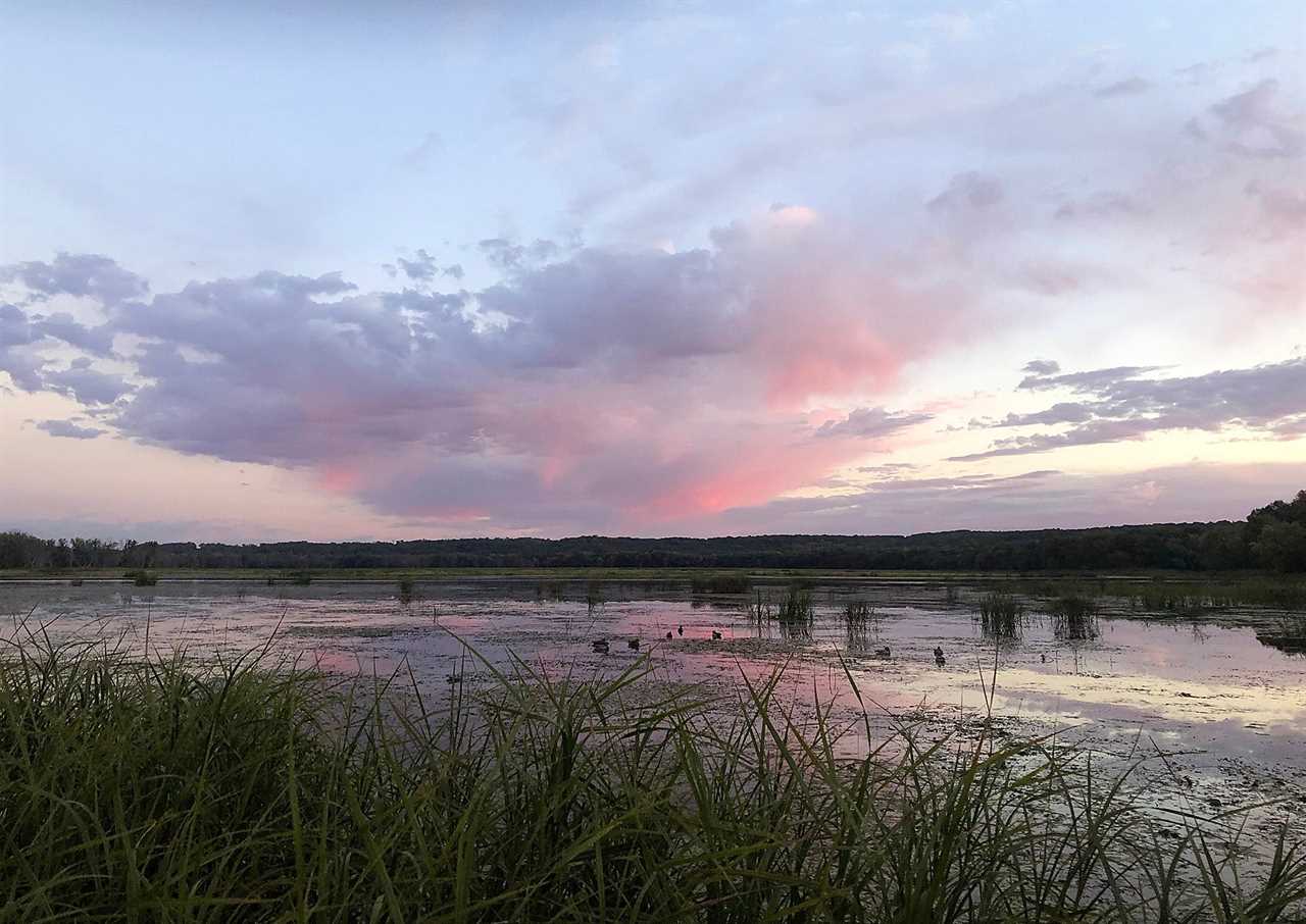 sunrise marsh