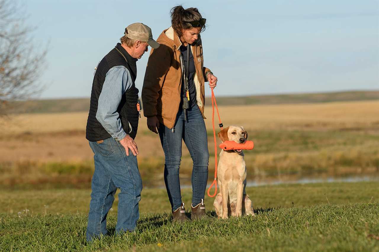 dog with trainers