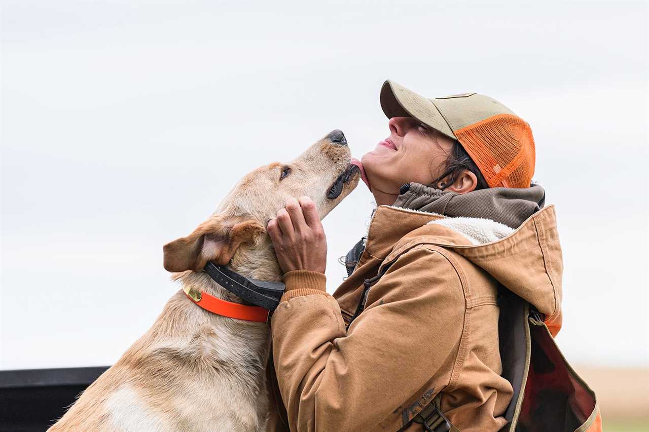 dog licks woman's chin