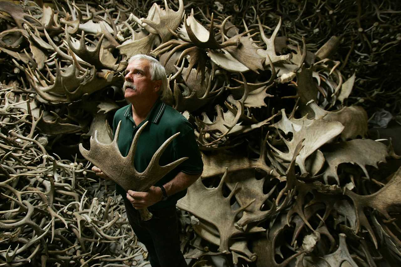 Antler dealer Don Schaufler in Montana