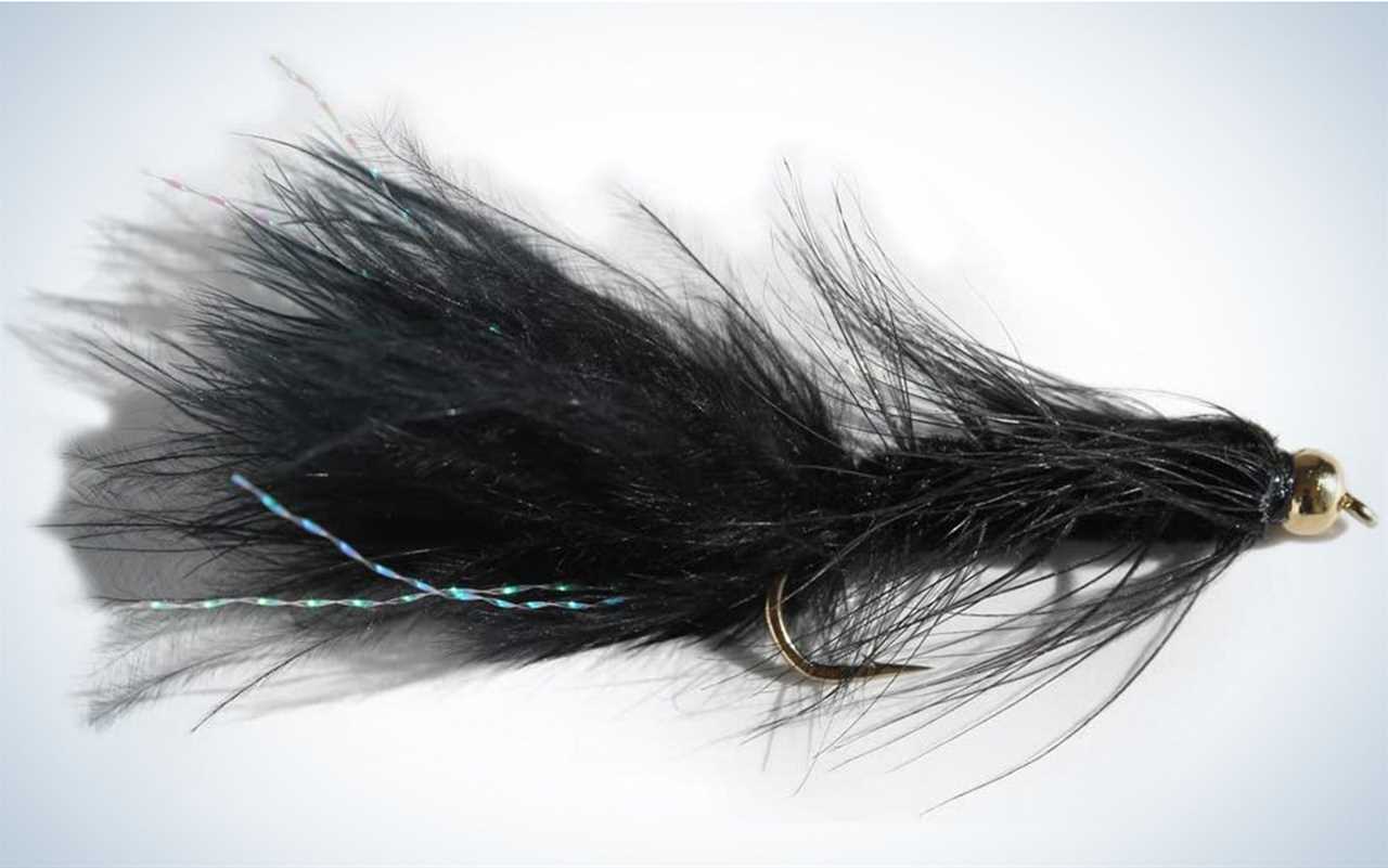 The Wooly Bugger is one of the best winter flies.