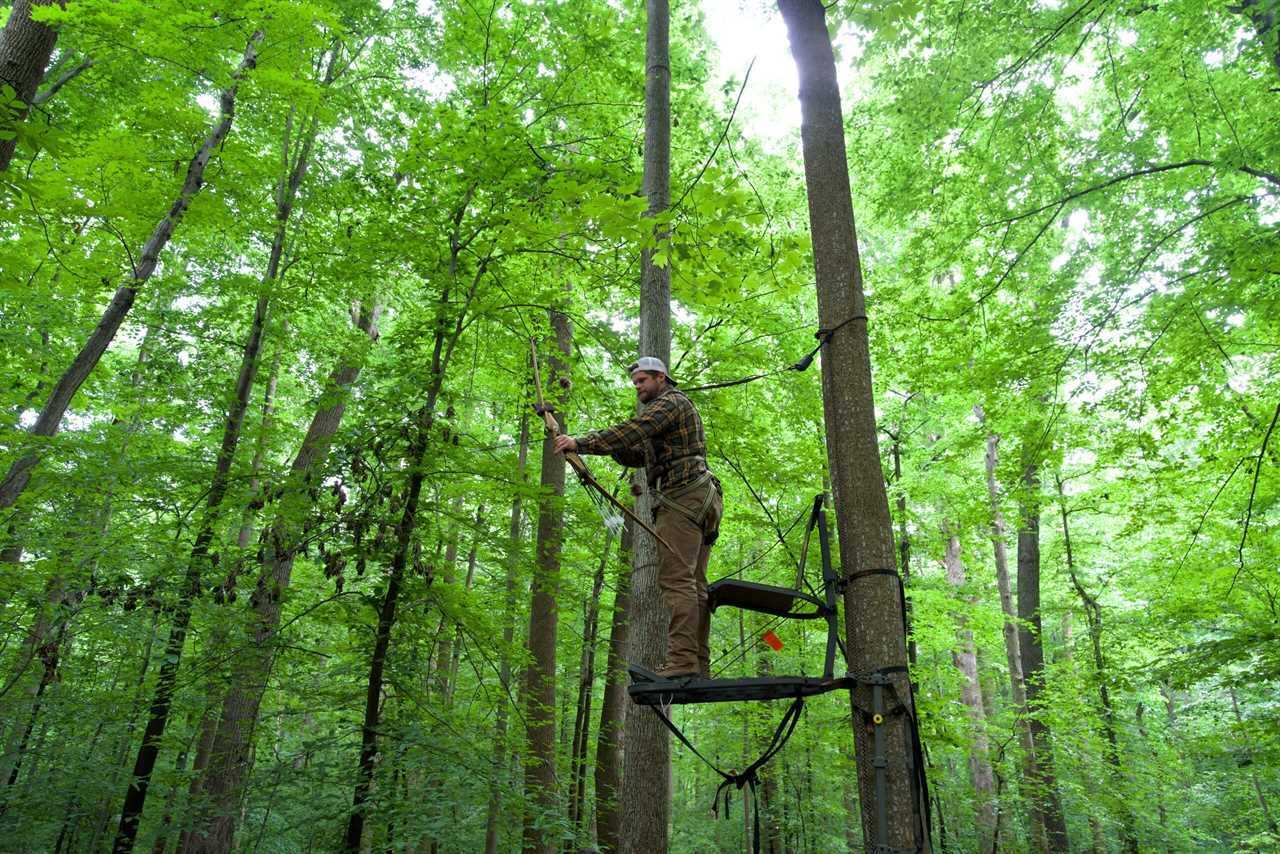 The Best Hang-On Tree Stands of 2022