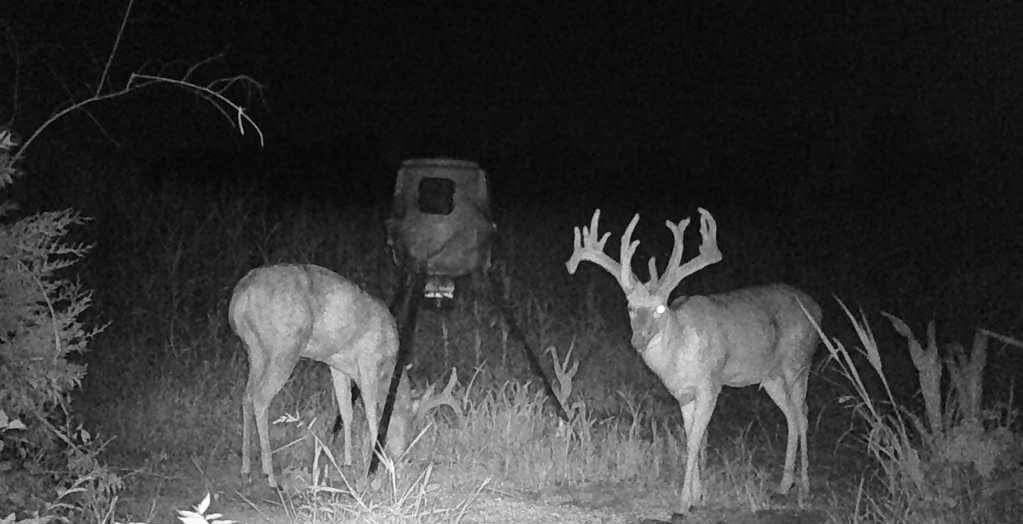 Ohio bowhunter 16-point buck with one eye