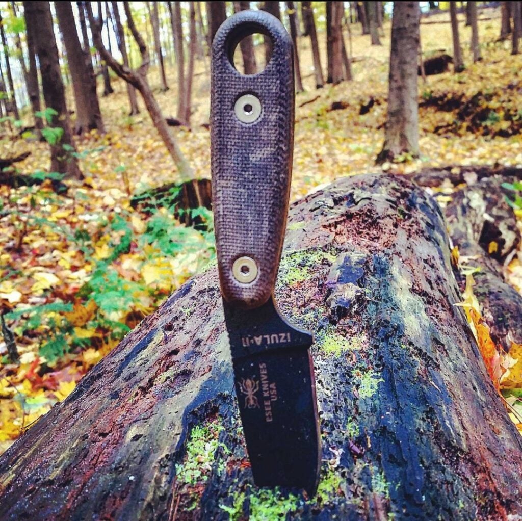 ESEE Izulla II with blade stuck in log