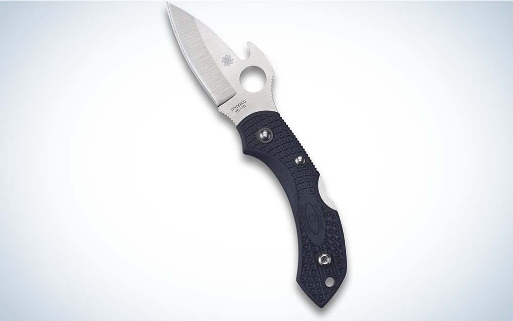 Spyderco Dragonfly 2 folding knife