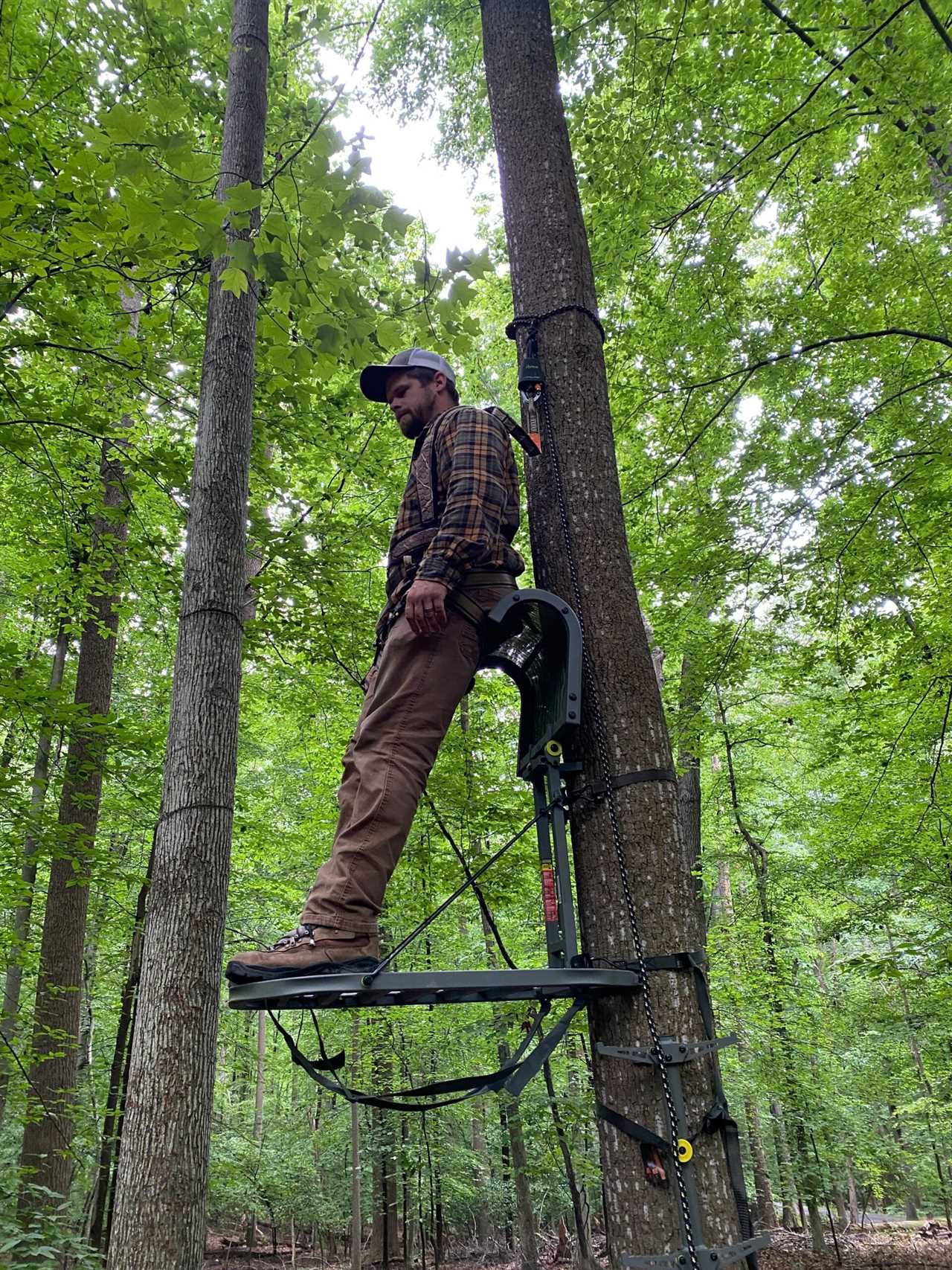 The Best Tree Stands of 2022